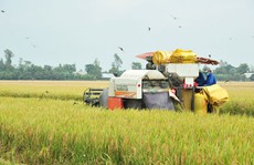 Nông nghiệp: Trụ đỡ vững chắc của nền kinh tế