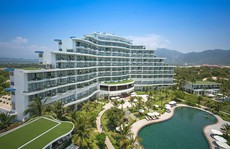 Du lịch ngóng những chuyến bay