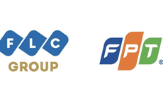 Lãnh đạo cấp cao FLC - FPT bàn cơ hội hợp tác