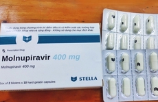 MSD và Pfizer đồng ý nhượng quyền sản xuất thuốc điều trị Covid-19 cho Việt Nam