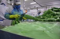 Xây dựng nền nông nghiệp tích hợp đa giá trị