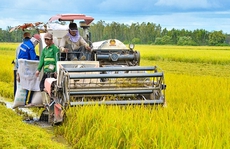 Nông nghiệp Việt Nam phải tăng trưởng hơn 10%/năm để bắt kịp các nước