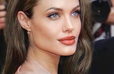 Angelina Jolie chăm da từ 11 tuổi