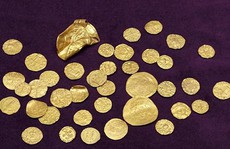 Xúc đất, vô tình tìm ra kho báu vàng  1.400 năm lớn nhất nước Anh