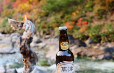 Uống bia, ăn cá nướng giữa rừng thu lá đỏ Nhật Bản