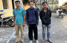 Bán lan var 'Hồng Yên Thủy' sai giống, bị cưỡng đoạt hàng trăm triệu đồng