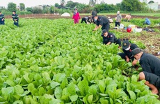 Lời Bác dạy vẹn nguyên giá trị