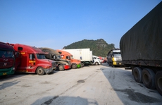 Hơn 4.800 xe hàng xuất đi Trung Quốc 'tắc' ở cửa khẩu, Phó Thủ tướng chỉ đạo khẩn