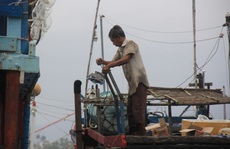 Ngư dân Quảng Nam cấp tập đưa thuyền vào bờ tránh bão