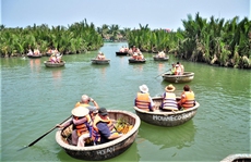 Đặc sắc rừng dừa nước Cẩm Thanh