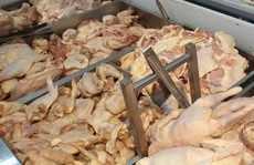 Thu hồi lô thịt gà Ba Lan xuất khẩu sang Việt Nam