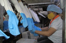 Sản xuất găng tay y tế kín đơn hàng đến năm 2022