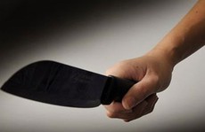 Bị chửi qua điện thoại, gã thanh niên đến nhà đâm chết anh cột chèo