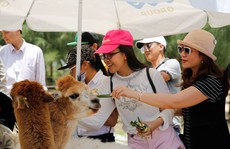 Doanh nghiệp lữ hành và hàng không bàn cách cất cánh du lịch trong 'bình thường mới'