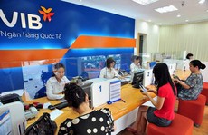 Giá cổ phiếu “vua” dậy sóng, cổ đông không đòi cổ tức tiền mặt