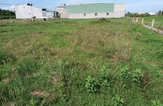 Kiểm tra đất đai tại 30 tỉnh, thành