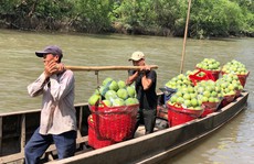 Đòn bẩy cho xuất khẩu nông sản