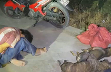 Người dân truy đuổi “cẩu tặc” như phim hành động lúc rạng sáng