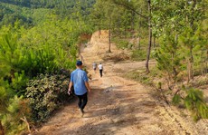 Quảng Bình: Lâm trường 'bảo kê' cho doanh nghiệp khai thác đất trái phép?
