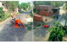 Covid-19 ở Ấn Độ: Chở thi thể vợ trên xe đạp tìm nơi hỏa táng