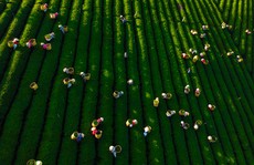 Cuộc thi “Nét đẹp lao động 2021”: Những đốm sáng đẹp chào tháng 4