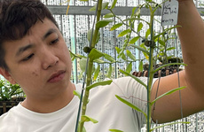 Ông chủ vườn lan Huỳnh Vũ: Từ chàng trai trông xe đến gia tài hoa lan giá trị