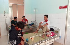 Ăn nấm lạ, 5 người ở Quảng Nam nhập viện