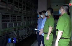 Mang 240 con heo bị dịch từ Hà Nội vào Huế tiêu thụ