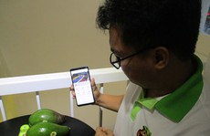 Đưa bơ vào 'sân chơi' trái cây cao cấp