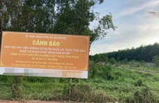 'ALIBABA' TÁI XUẤT Ở BÀ RỊA - VŨNG TÀU, ÐỒNG NAI (*): Ðừng để mất bò mới lo làm chuồng!