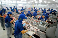 Xuất khẩu cá tra phục hồi mạnh