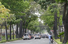 Thân thương thành phố phương Nam