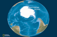 Trái Đất có thêm đại dương thứ 5: tròn, lạnh và bí hiểm
