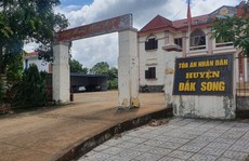 Chánh án TAND tỉnh Đắk Nông lên tiếng việc 1 thẩm phán lập 57 hồ sơ khống