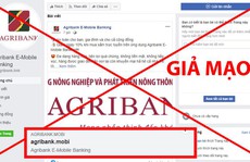 Nở rộ website giả mạo, lừa đảo trong mùa dịch
