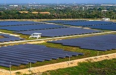 Phát hiện một số tồn tại trong đầu tư xây dựng điện mặt trời