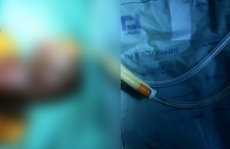Trong lúc cho dê ăn cỏ, người đàn ông gãy dương vật vì bị ngã