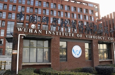 Viện Virus học Vũ Hán lọt tốp ứng viên xuất sắc vì nghiên cứu Covid-19