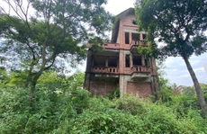CLIP: Hàng loạt biệt thự bỏ hoang, khu đô thị ở Hà Nội thành nơi chăn thả bò
