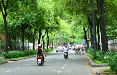 Yêu rồi đâu dễ gì quên!