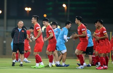 Việt Nam - Indonesia: Tránh vết xe đổ của người Thái