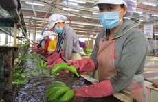 Chờ giảm thêm lãi suất cho vay