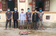 Nhóm thanh niên ở Quảng Bình giết trộm bò, xẻ lấy 4 đùi làm mồi nhậu