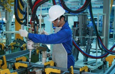 Chính sách đối với NLĐ dôi dư khi sắp xếp lại công ty TNHH MTV do Nhà nước nắm giữ 100% vốn điều lệ