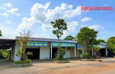 Xã cho doanh nghiệp 'mượn' đất công để kinh doanh, thanh tra phát hiện nhưng… ngó lơ?