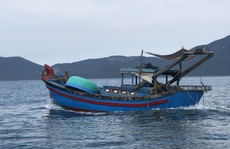 Giã cào khuấy nát vịnh Vân Phong