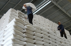 Bình Phước, Bạc Liêu, Sóc Trăng được cấp 4.117 tấn gạo hỗ trợ người dân trong dịch Covid-19