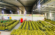 Giúp doanh nghiệp khôi phục sản xuất - kinh doanh (*): Cần sự hỗ trợ thiết thực