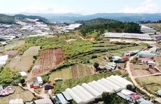 Khốn khổ vì dự án đô thị 'treo' 12 năm ngay trung tâm Đà Lạt