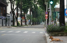 Cận cảnh đường phố TP HCM sáng nay 23-8: Kiểm soát chặt chẽ
